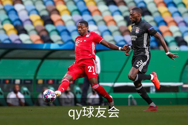 qy球友会公司简介展示图
